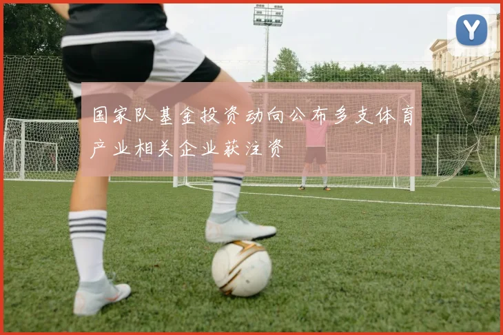 国家队基金投资动向公布多支体育产业相关企业获注资