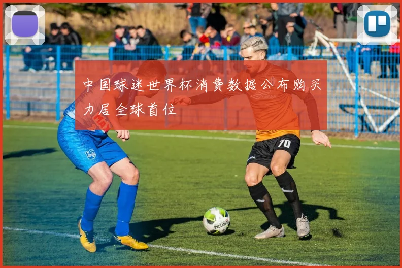 中国球迷世界杯消费数据公布购买力居全球首位