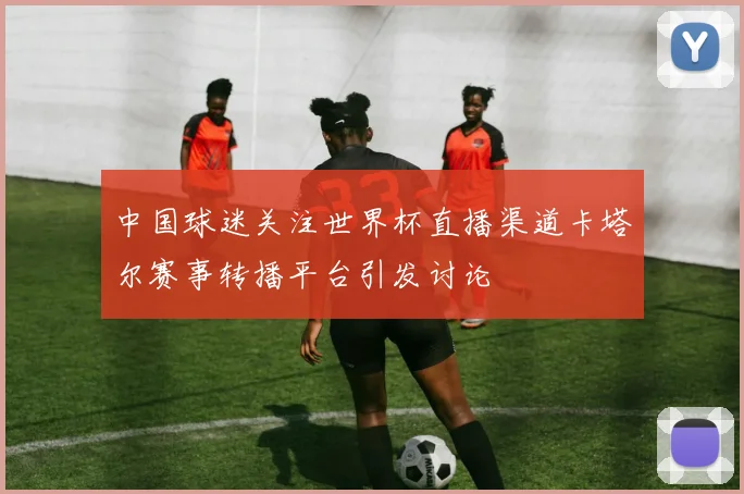 中国球迷关注世界杯直播渠道卡塔尔赛事转播平台引发讨论