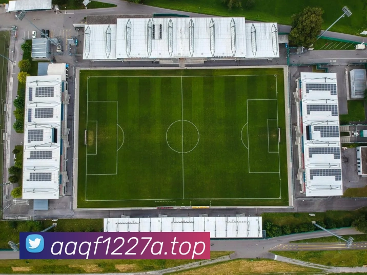 巅峰国际app官网下载平台生态图